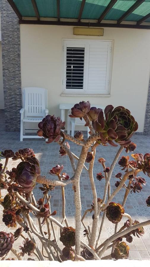 Panorama Beach House, 5 Meters To The Sea Perivolia Luaran gambar
